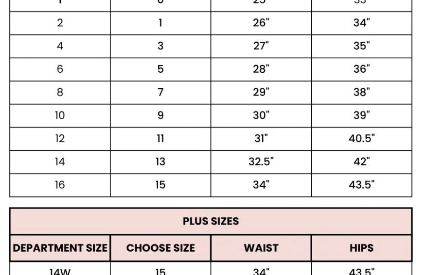 The Olivia High Rise Medium Light Wash Wide Leg Jeans - Love and Lee Apparel