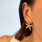 Starfish Stud Earrings 18K Gold Plated - Love and Lee Apparel