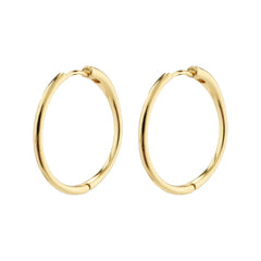 Eanna Medium Hoop Earrings - Love and Lee Apparel